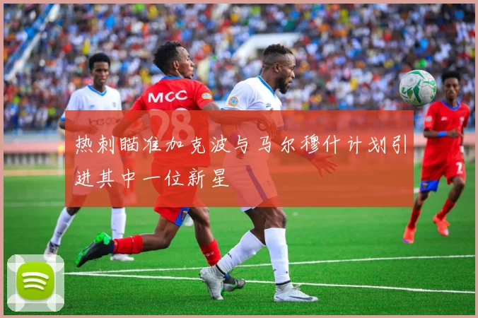 热刺瞄准加克波与马尔穆什计划引进其中一位新星